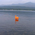 Coniston Water