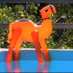 Sunning in the pool