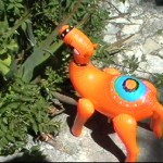 A dangerous place for an inflatable camel, but Camilla is not deterred